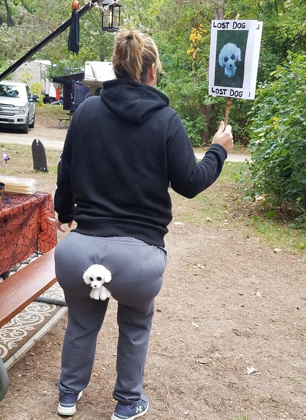 Lost Dog, Halloween Costume