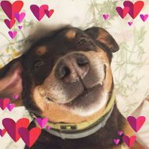 mbschoolpsych avatar