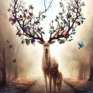 diann_daniel1952 avatar