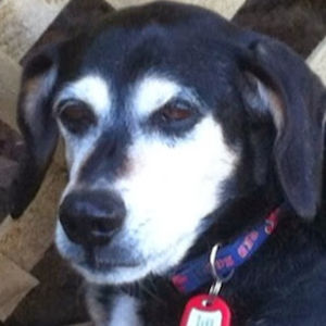 michellewelden avatar