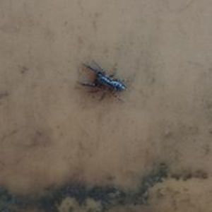 alex_ivchenko avatar