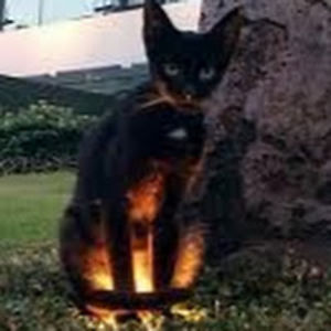 machanziemckeen avatar