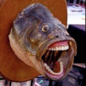 jaidenpippens avatar