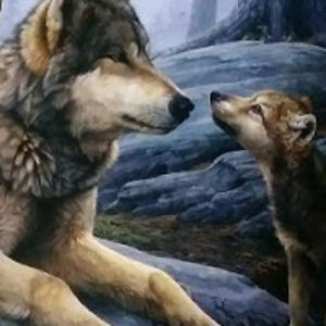 sharonwittenauer avatar