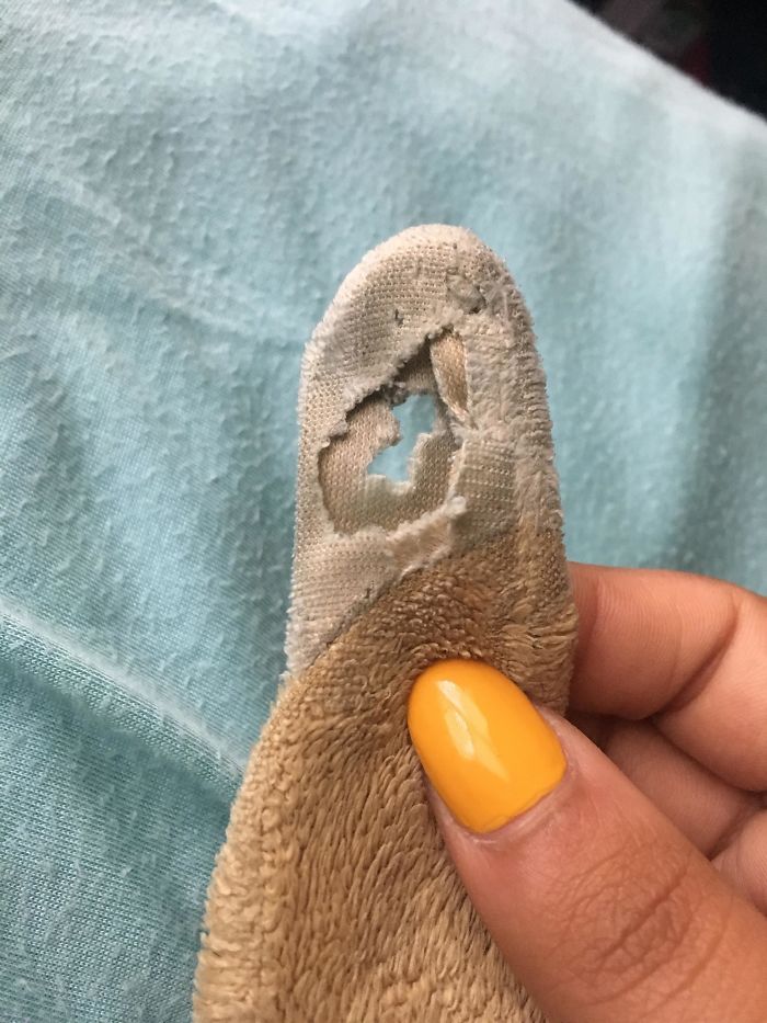 Since I (22F) Was A Baby I’ve Had A Sensory Issue Where I’ve Needed To Rub Something Soft In Order To Be Able To Fall Asleep. This Is The Tail Of The Stuffed Animal I’ve Been Using For The Last 12 Years. I Rub It Every Single Night