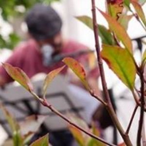 MightyCreation Pesevski