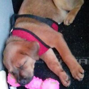 emma_garretson avatar