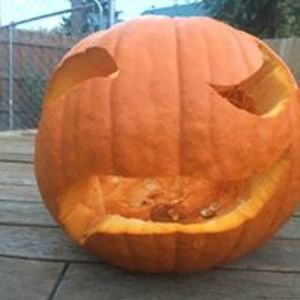 reverandpdawg avatar