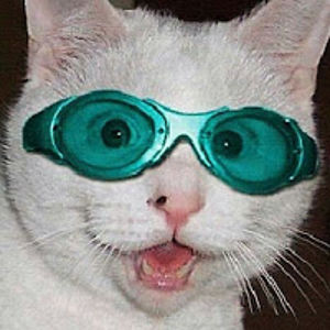 swedishattackhelicopter avatar