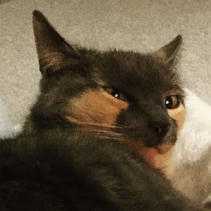 emibobgaming606 avatar