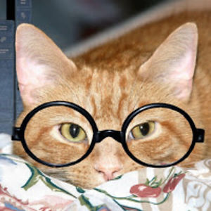 adityaswaminathan avatar