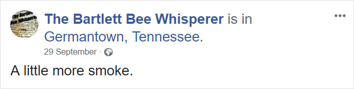 Bee Remover Posts What He Found After Removing The Bricks From A Client's Home, And His Photos Go Viral Bee Remover Posts What He Found After Removing The Bricks From A Client's Home, And His Photos Go Viral
