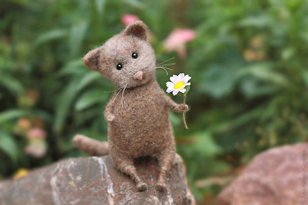 You Will Forgive Them Again And Again: Extremely Cute Mice With A Heartwarming Look