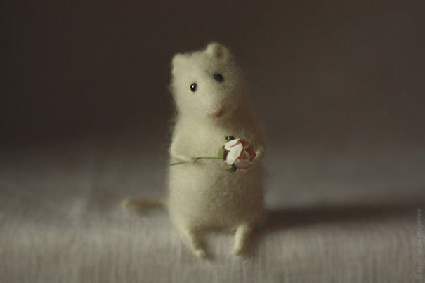 You Will Forgive Them Again And Again: Extremely Cute Mice With A Heartwarming Look