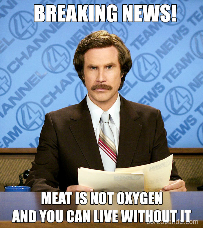 Vegan Memes