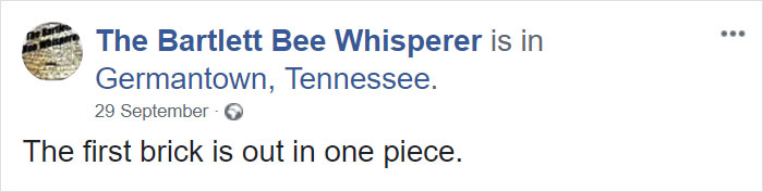Bee Remover Posts What He Found After Removing The Bricks From A Client's Home, And His Photos Go Viral Bee Remover Posts What He Found After Removing The Bricks From A Client's Home, And His Photos Go Viral
