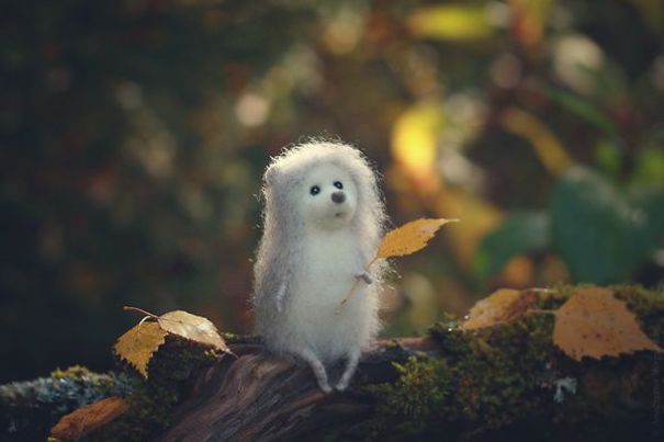 You Will Forgive Them Again And Again: Extremely Cute Mice With A Heartwarming Look