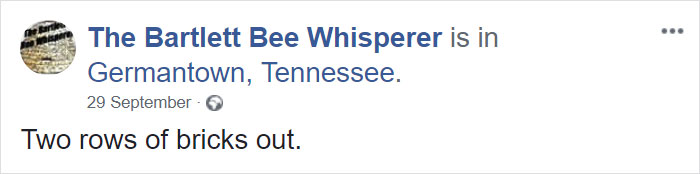 Bee Remover Posts What He Found After Removing The Bricks From A Client's Home, And His Photos Go Viral