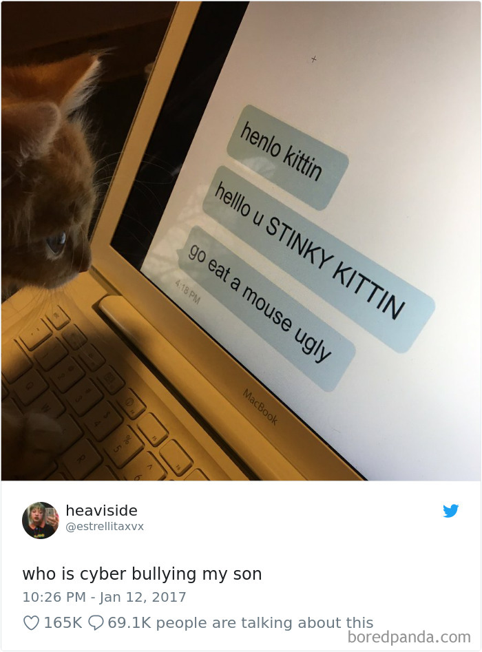 Cat Tweets