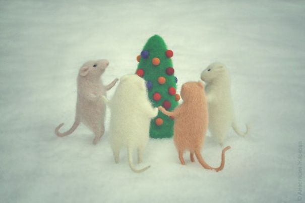 You Will Forgive Them Again And Again: Extremely Cute Mice With A Heartwarming Look