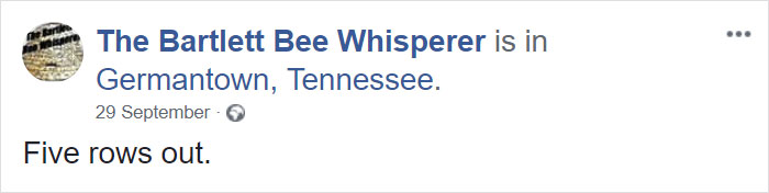 Bee Remover Posts What He Found After Removing The Bricks From A Client's Home, And His Photos Go Viral Bee Remover Posts What He Found After Removing The Bricks From A Client's Home, And His Photos Go Viral