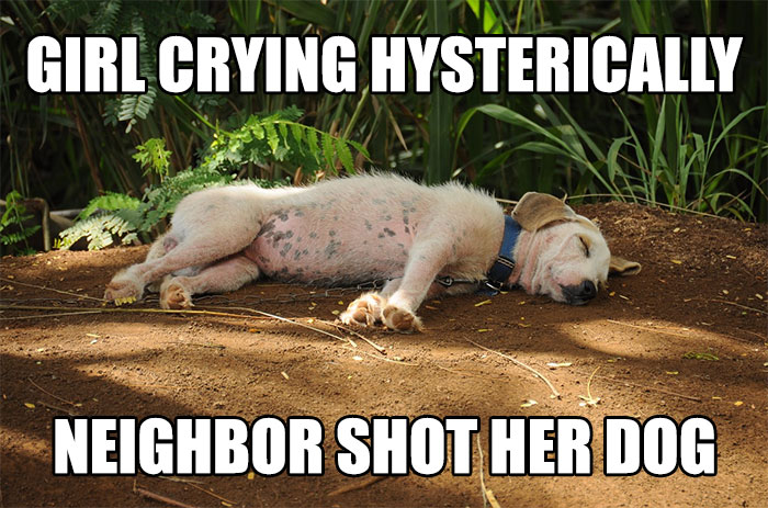 911-Operator-Work-Stories