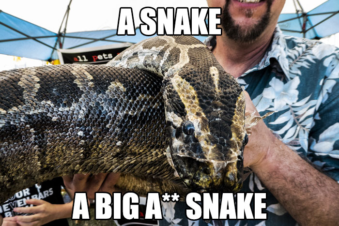 911-Operator-Work-Stories