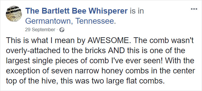 Bee Remover Posts What He Found After Removing The Bricks From A Client's Home, And His Photos Go Viral Bee Remover Posts What He Found After Removing The Bricks From A Client's Home, And His Photos Go Viral