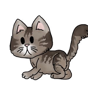 barbara_hofschneider avatar