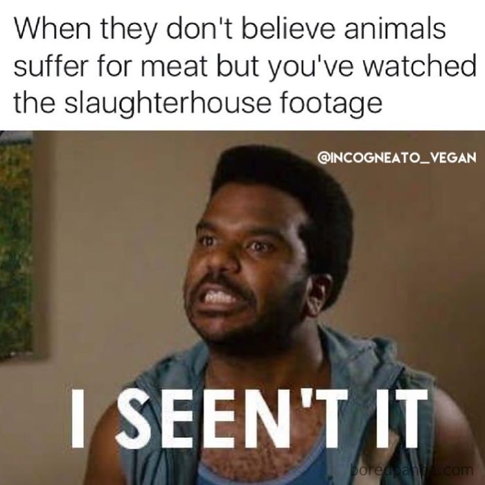 Vegan Memes