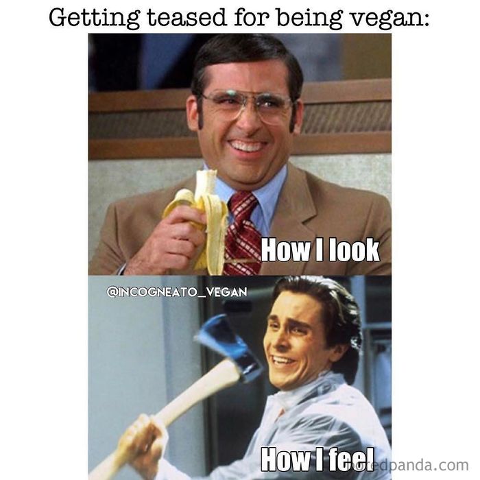 Vegan Memes
