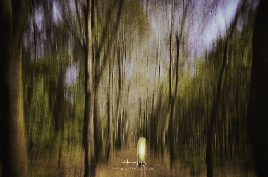 I Wanted To Paint And I Ended Up Painting With A Camera