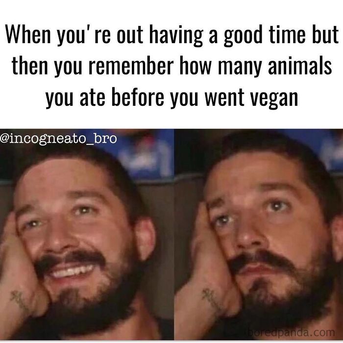 Vegan Memes