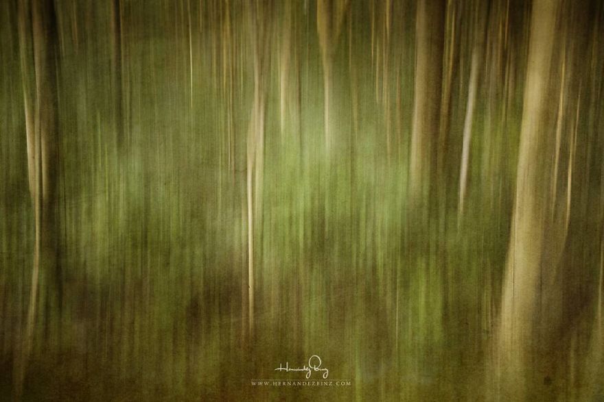 I Wanted To Paint And I Ended Up Painting With A Camera