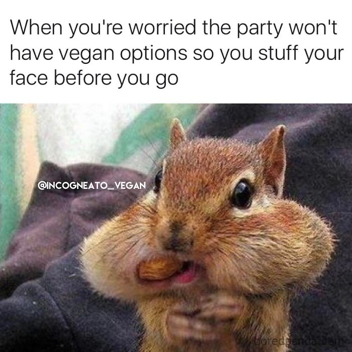 Vegan Memes