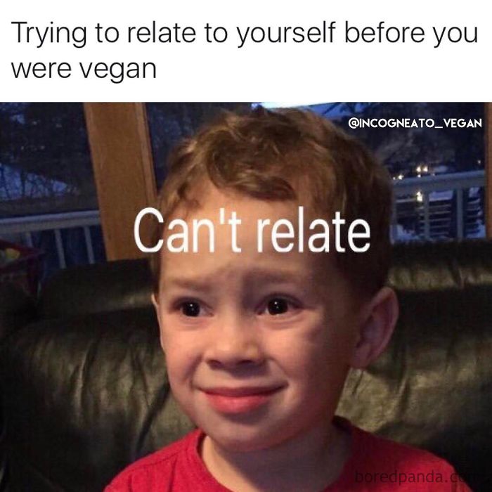 Vegan Memes