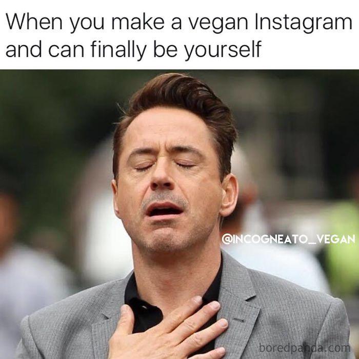 Vegan Memes