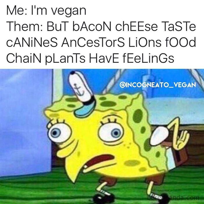Vegan Memes