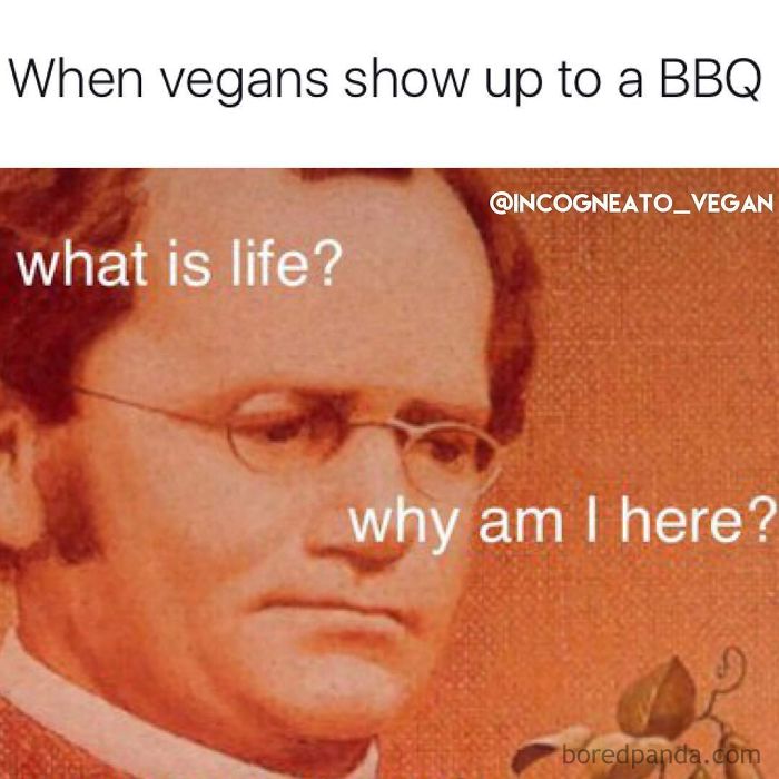 Vegan Memes