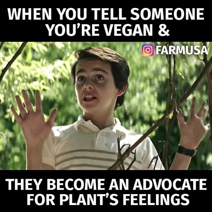 Vegan Memes