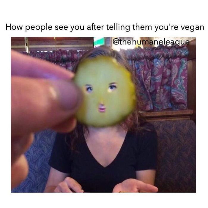 Vegan Memes