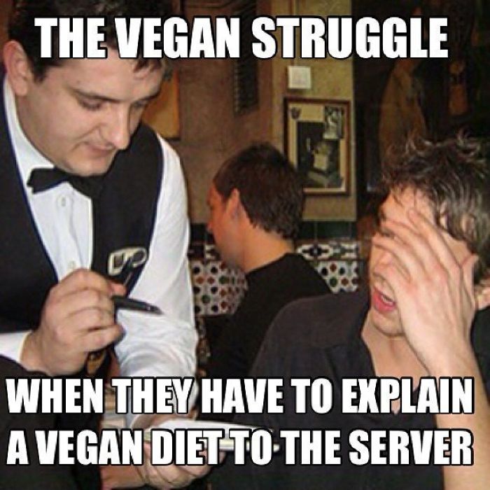 Vegan Memes