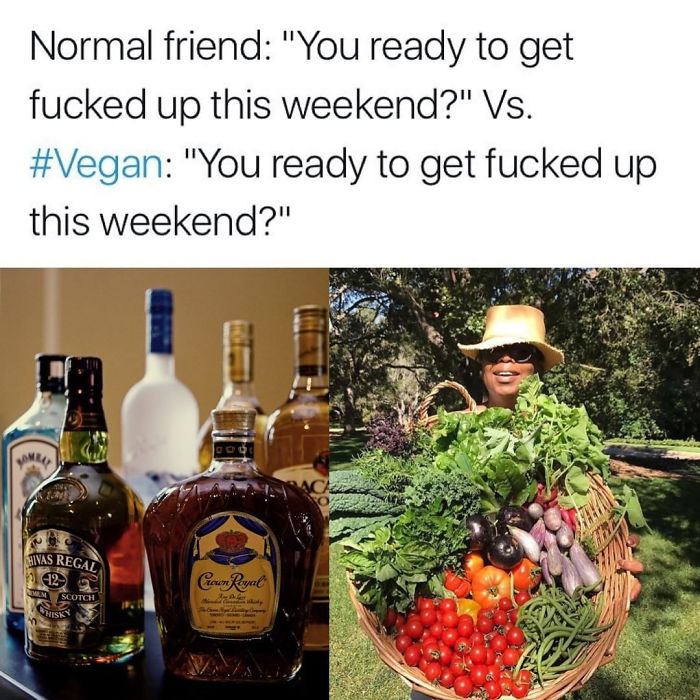 Vegan Memes