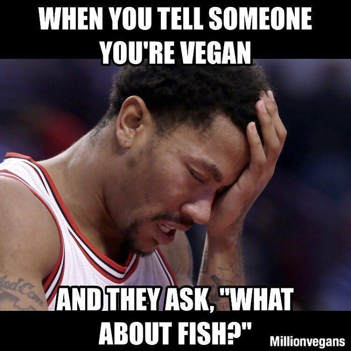 Vegan Memes