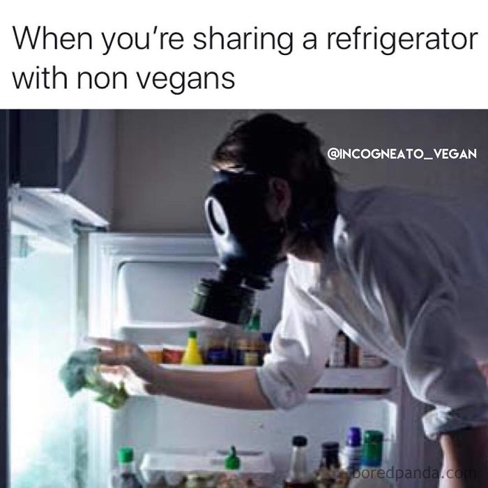 Vegan Memes