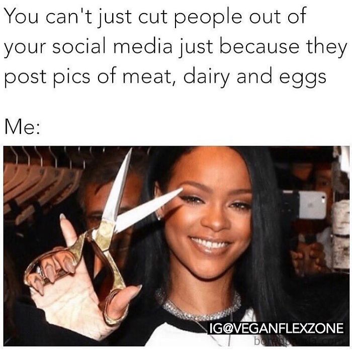 Vegan Memes