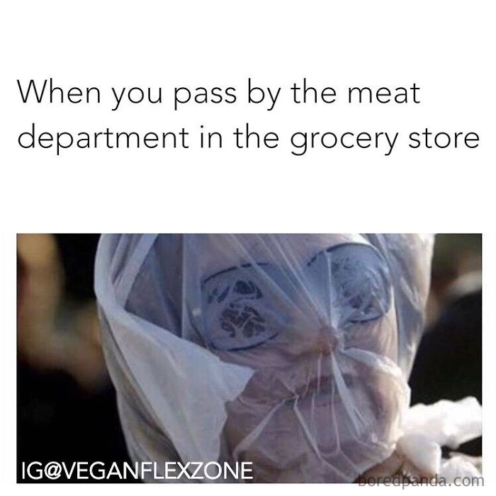 Vegan Memes