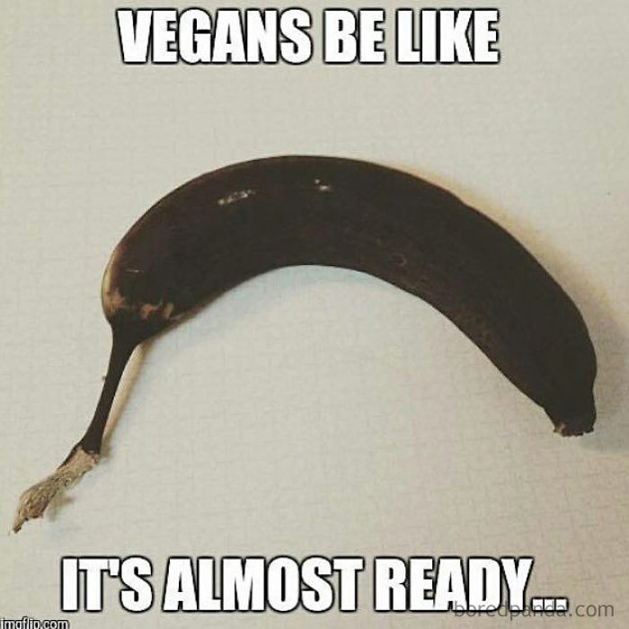 Vegan Memes