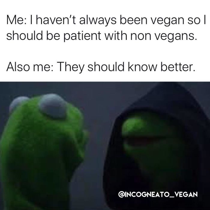 Vegan Memes