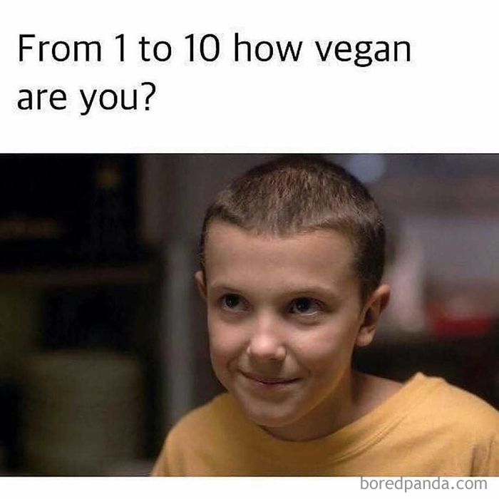 Vegan Memes
